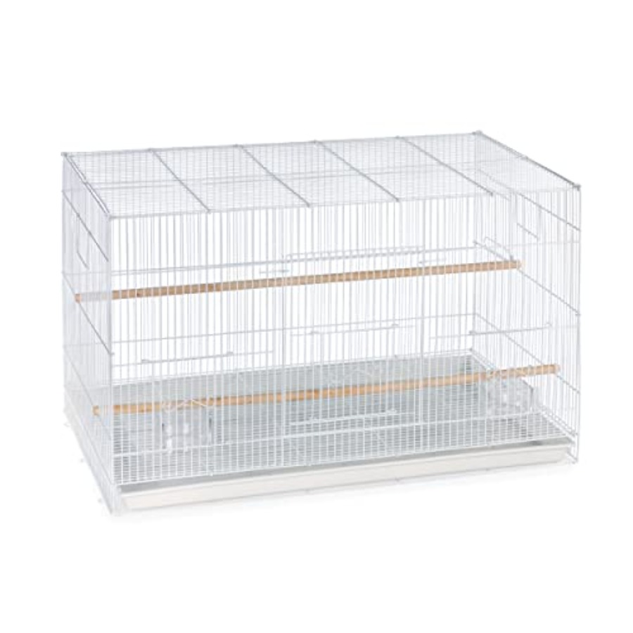 Interior Design And Construction - Flight Cage for Multi-Bird Home Use