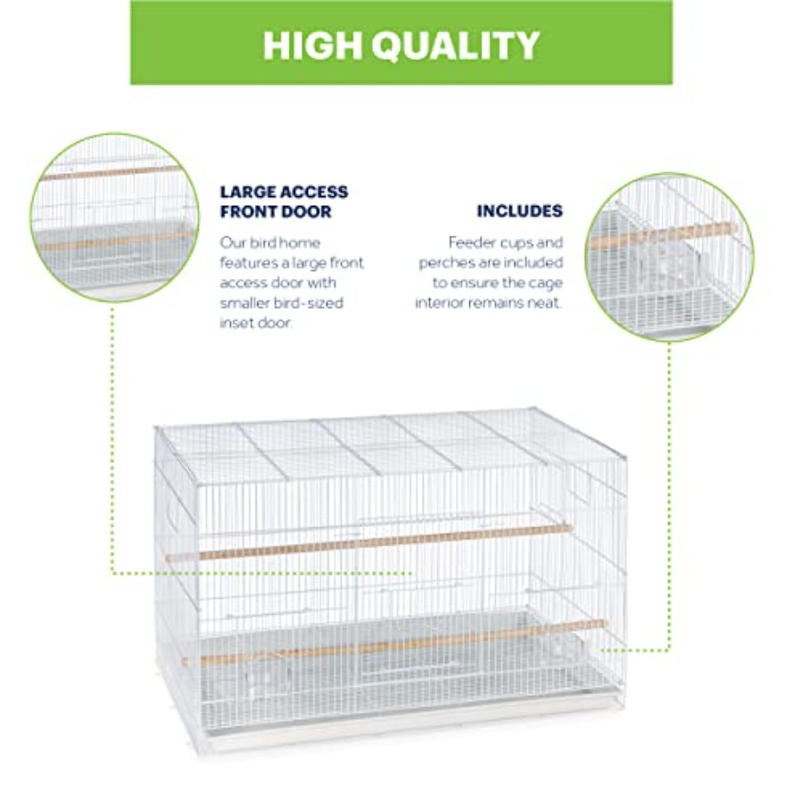 Flight Cage for Multi-Bird Hom - Interior Design And Construction のレビューと価格
