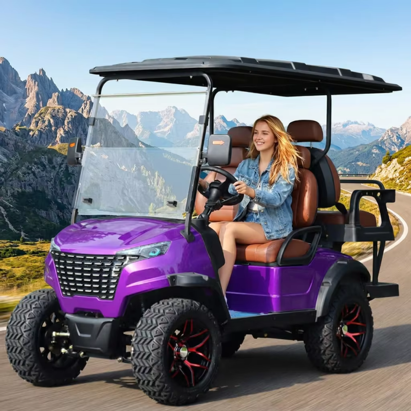 Lifted Lithium Battery 4 Seate - Interior Design And Construction のレビューと価格