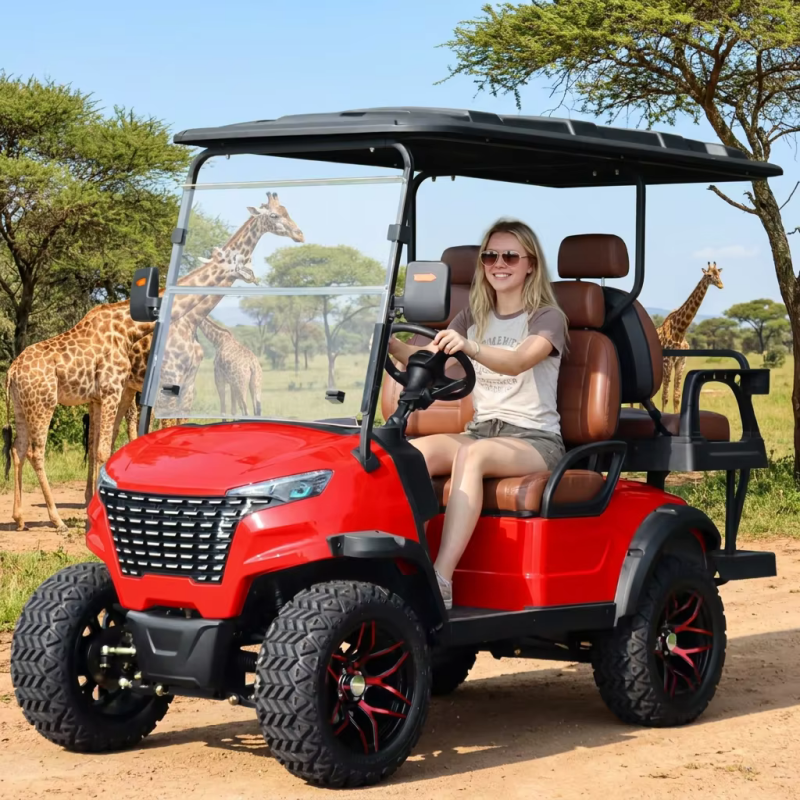 Lifted Lithium Battery 4 Seate - Interior Design And Construction のレビューと価格